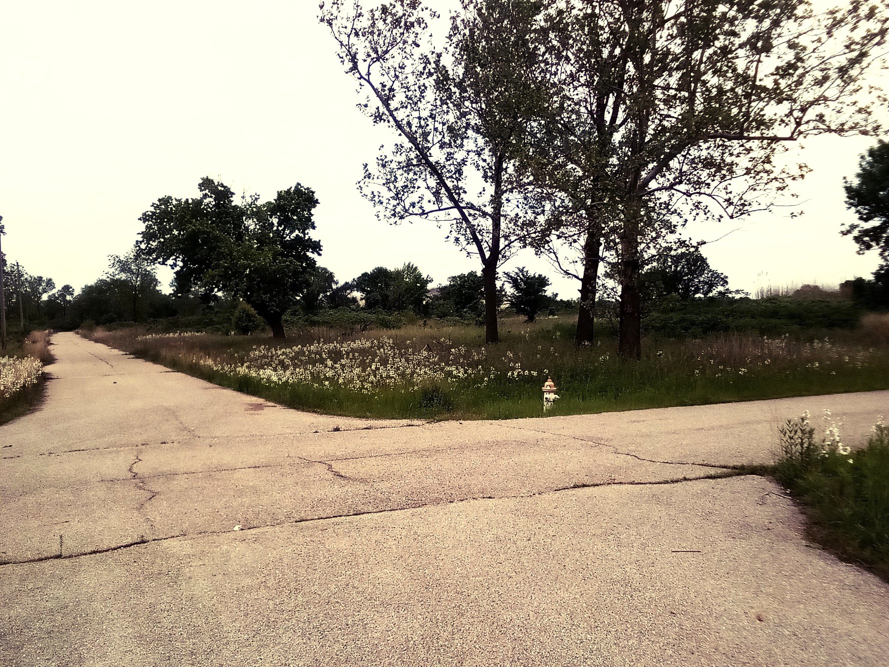 The remains of a residential neighborhood in abandoned Picher, Oklahoma.